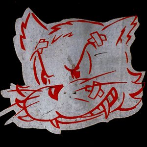 Secret Cat için avatar