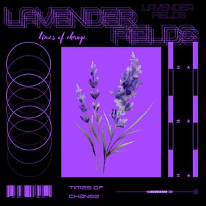 Lavender Fields