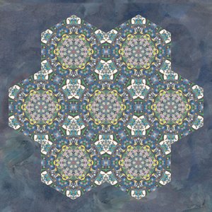 Metamorphejawns