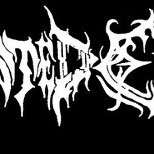 Avatar for Molested Entrails