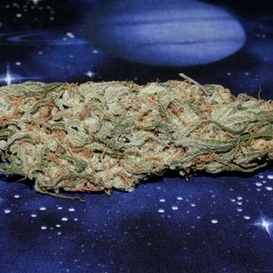 Alexander Weedheart 的头像