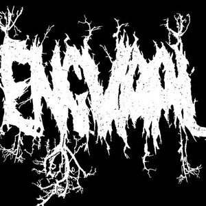 Engvaal 的头像