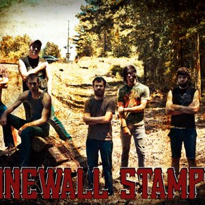 Stonewall Stampede 的头像