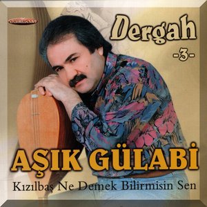 Aşık Gülabi Dergah, Vol. 3