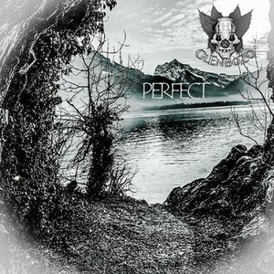 Perfect - Single