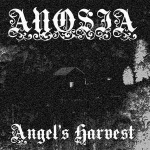 Angel's Harvest