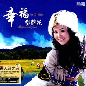 幸福塑料花