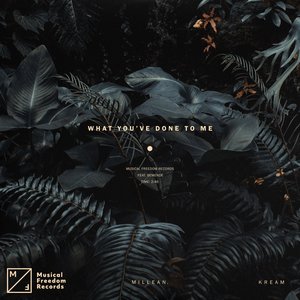 What You've Done To Me (feat. Bemendé) - Single