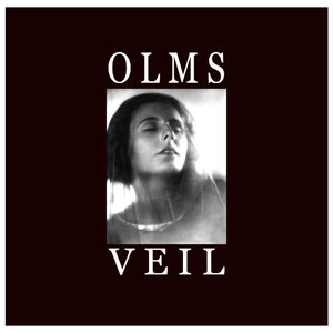 VEIL