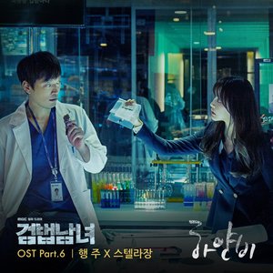 Investigation Couple, Pt. 6 (Original Television Soundtrack) - Single