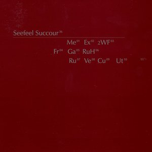 “Succour”的封面