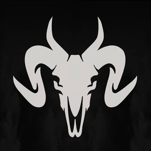 Stray Beast 的头像