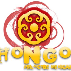 “Hongo Psilocybe Mexicana”的封面