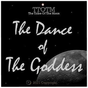“Upcoming Album: The Space Druids”的封面
