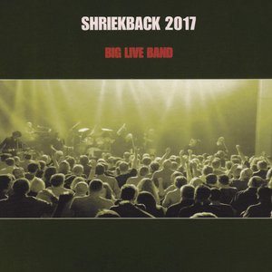 Big Live Band 2017