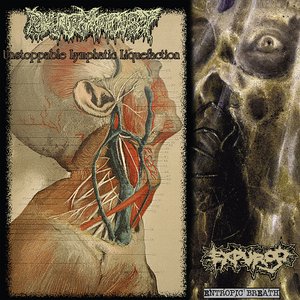 Entropic Breath / Unstoppable Lymphatic Liquefaction