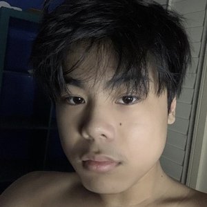 mrekk 的头像