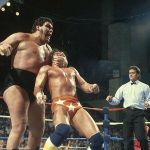 Image for 'Andre The Giant'