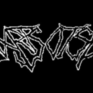 Svartsotsrit 的头像
