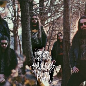 Malignant Aura 的头像