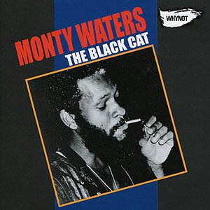 The Black Cat