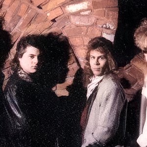 Urgent Message 的头像