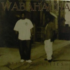 Wabahacha 的头像