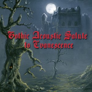 Image for 'A Gothic Acoustic Salute To Evanescence'