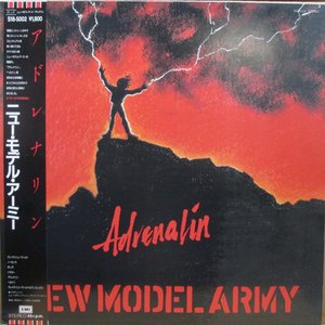 Adrenalin