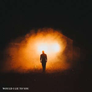 Would I Lie To You - Single