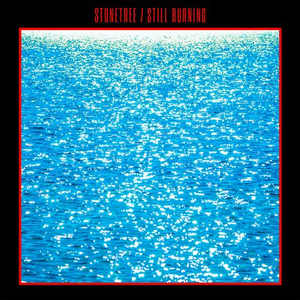 Pochette de STILL BURNING