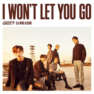 Image for 'I WON'T LET YOU GO (Complete Edition)'