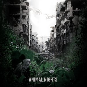 Animal Nights - Single