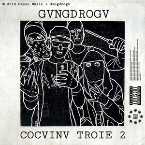 Cocvinv Troie 2