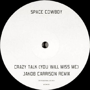 Crazy Talk (You Will Miss Me) (Jakob Carrison remix)