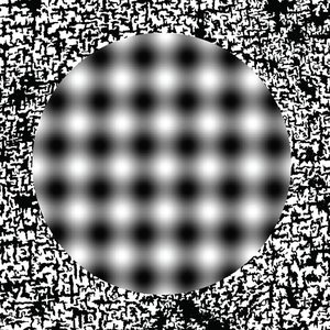 S/T