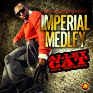 Alley Cat aka Imperial 的头像