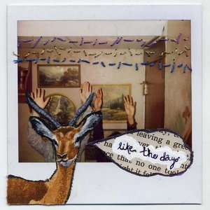 like the days 的头像