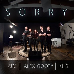 Sorry (feat. Kurt Hugo Schneider & ATC) - Single