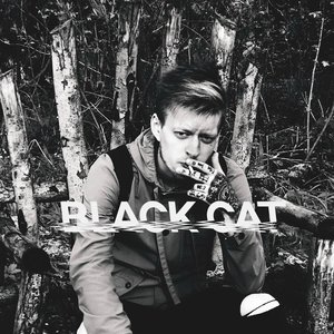 Image for 'blvck cat'