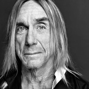 Iggy Pop, Tarwater & Alva Noto 的头像