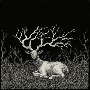 Wildbright