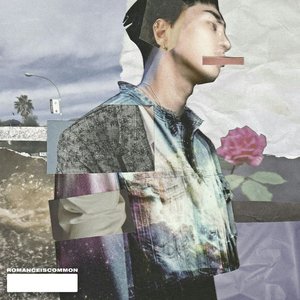 Romanceiscommon