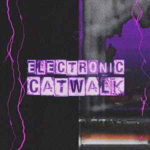 Electronic Catwalk