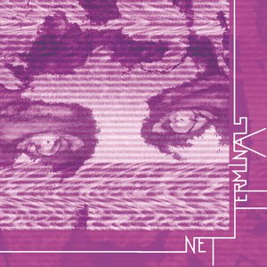 Terminals