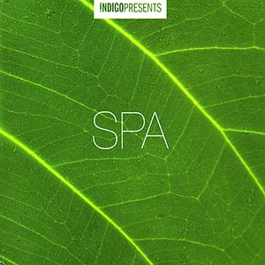 Spa-Music to Relax By