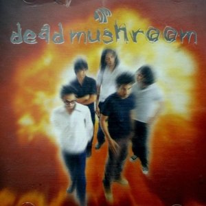 Dead Mushroom