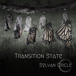 Transition State