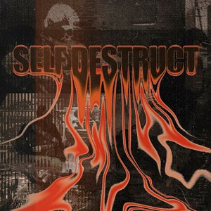 SELF DESTRUCT