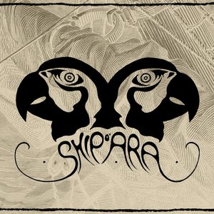Ship of Ara